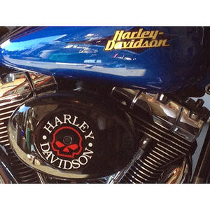 Meet your Posher, Tony